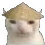 chinacat chinacat