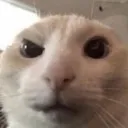 hmm