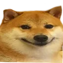 zhehe_doge
