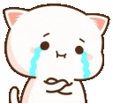 9kittycry