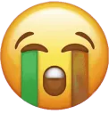 emoji_120