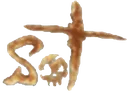 logo_sot Discord Emoji