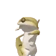 LizardPLS