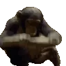 monke monke