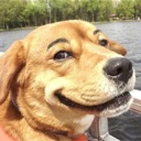jeremy_dog Discord emoji