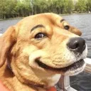 jeremy_dog Discord Emoji