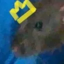 b163d5be8fe4d059dc943680cc46aa48