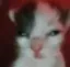 gatotontin gatotontin