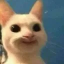 petcatsummoningademon Discord Emoji