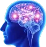 bigbrain bigbrain
