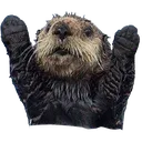 otteryus