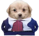 fancy_doin_buisness_with_ya fancy_doin_buisness_with_ya
