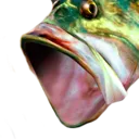 sega_pog
