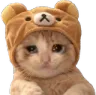 sadcat