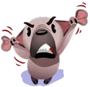 perroenojado