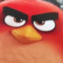 angrybird