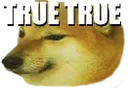 true_true true_true