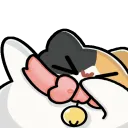 samiDabdab