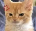 Angry