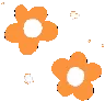 k_flowers