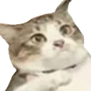 catmartinwut