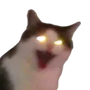 calm_kotee2 Discord Emoji