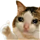 chat chat