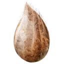 MitozaSeed