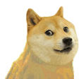 dogedance