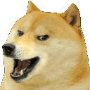 dogejaka