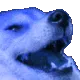 Dog_KEK