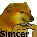 simcer1