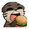 MiFoame