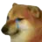 sad_dog