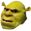 confused_shrek