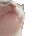 CatJAM