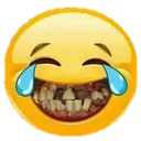 Vimaal_Hasi Vimaal_Hasi