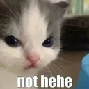 not_hehe
