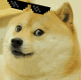 cooldog