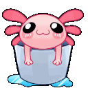 axolotl