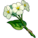 Qingxin_GM Discord emoji