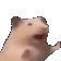 RatJAM