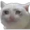 sadge sadge