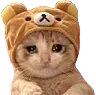 catsadteddy