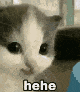 nothehe Discord emoji