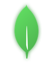MongoDB Discord emoji