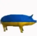 ukrainian_swine ukrainian_swine