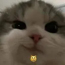 wittyComeback