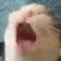 AAAA AAAA