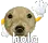 holapotaxio